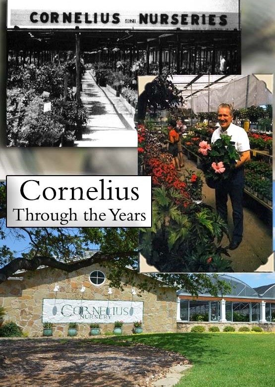 Cornelius History Cornelius History
