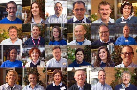 Employees