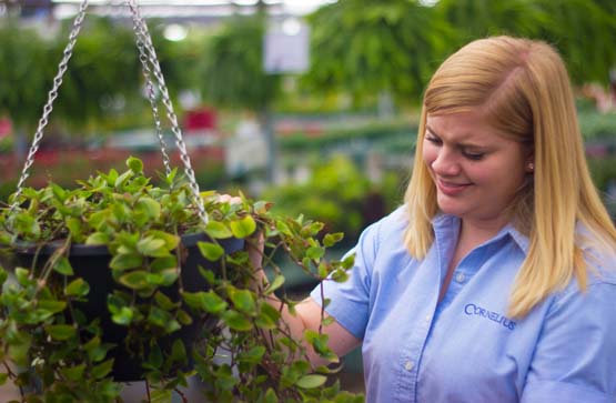 Cornelius Employee