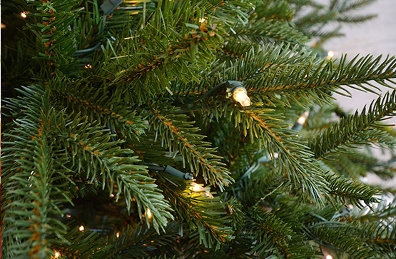cornelius nursery houston christmas trees thenurseries cornelius nursery houston christmas trees thenurseries
