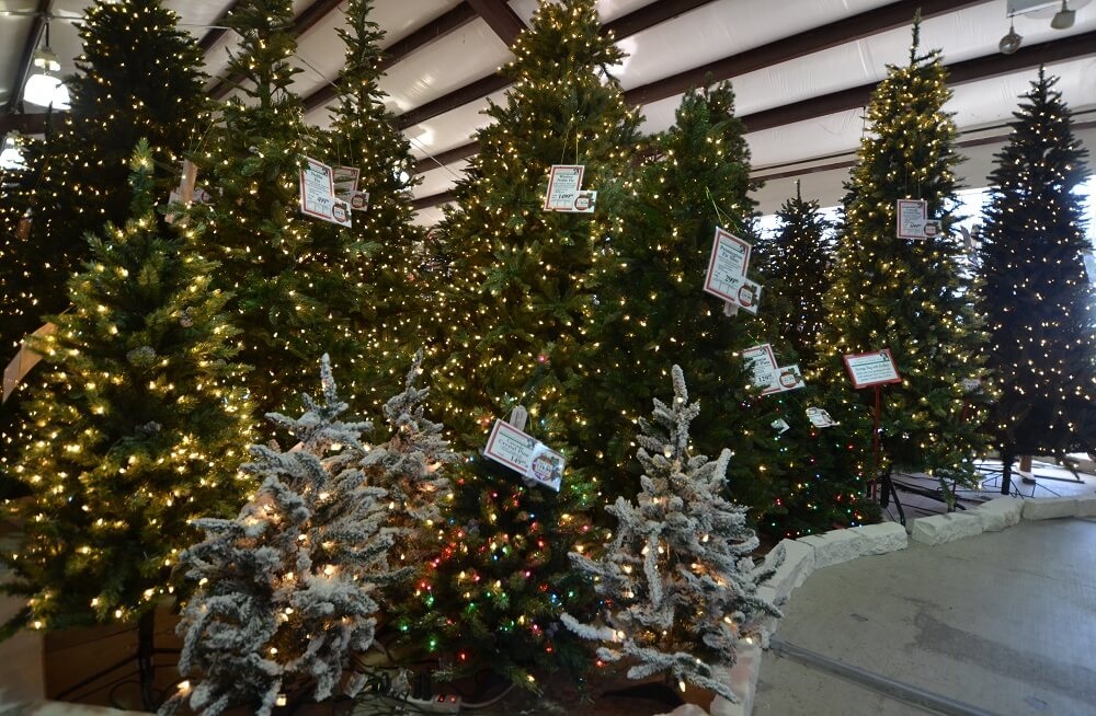 cornelius nursery houston christmas trees thenurseries cornelius nursery houston christmas trees thenurseries