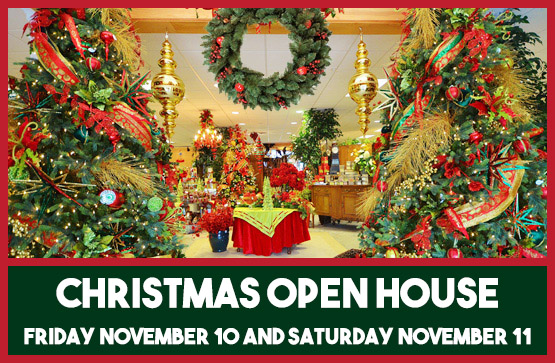 Cornelius Nursery Houston Texas Thenurseries Cornelius Nursery Houston Christmas Trees Thenurseries